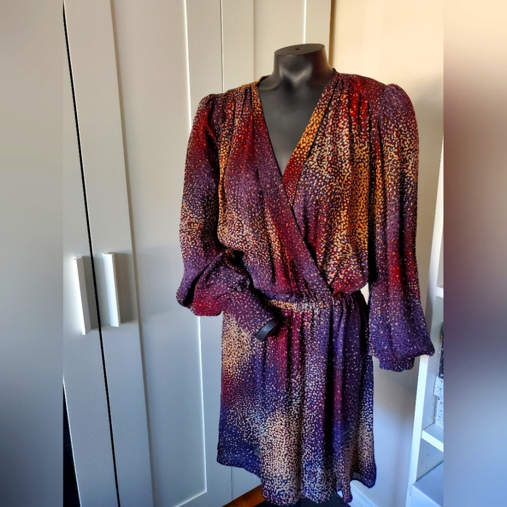 Parker Size Small Dress